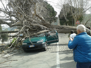 brolo – tanta paura per un albero, sdradicato dal vento, caduto su un’autovettura (foto)