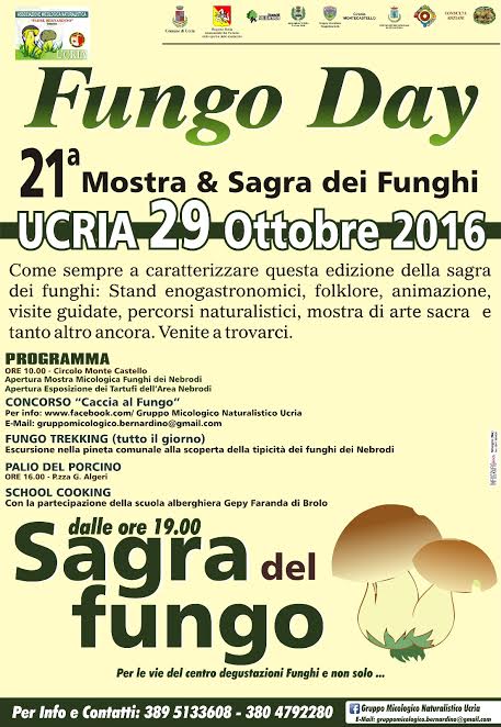 ucria – oggi la 21° edizione del fungo day (mostra e sagra dei funghi)