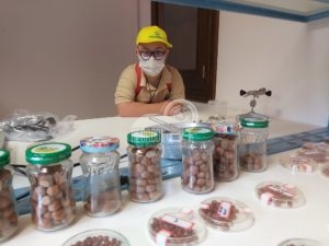 ucria – visita guidata alla banca vivente del germoplasma vegetale, per il progetto includiamoci di san teodoro
