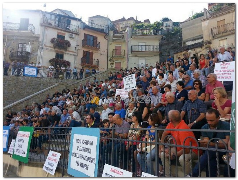 Ucria – Per l’emergenza nocciole, assemblea pubblica e vertice a Palermo