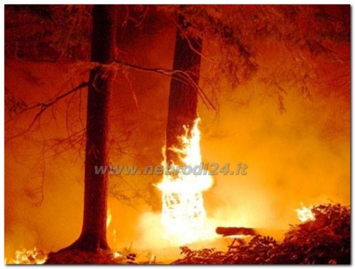 Floresta  – Due allevatori, padre e figlio, arrestati per incendio boschivo