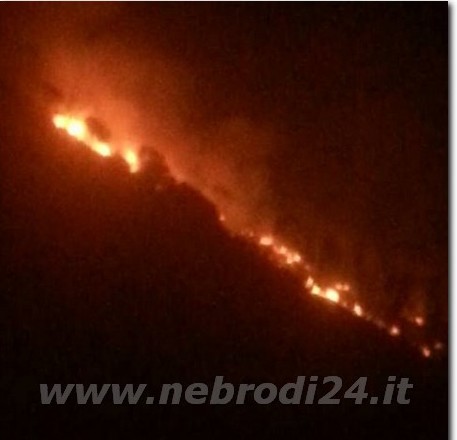 Nuovo incendio a Piraino, sta bruciando la pineta