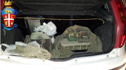 Milazzo (ME), I Carabinieri denunciano due persone per “cattura di animali protetti”, “maltrattamento” e “ricettazione”.