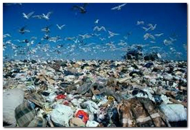 Piraino  –  Avvisi: la raccolta dei rifiuti, prevista lunedì 24 maggio 2021, non verrà effettuata