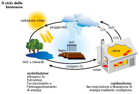 Torrenova – Impianti di Biomasse e di rifiuti secchi trattati: il territorio si ribella! Il convegno a Rocca di Caprileone