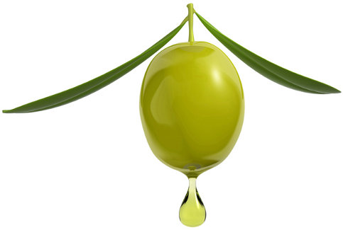 Olio acquistato dalla Tunisia, per Laccoto “colpo mortale all’agricoltura siciliana”. Presentata una mozione all’Ars