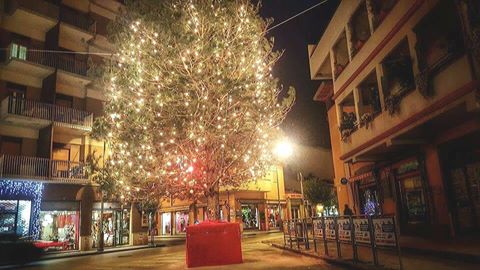 Brolo – L’albero di Natale…un dono del sindaco di Floresta Nello Marzullo