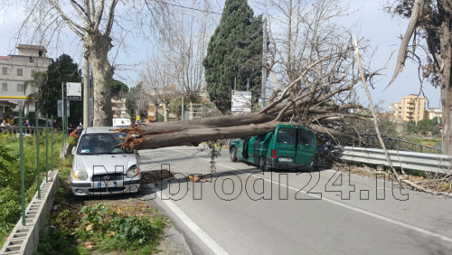 Brolo – Tanta paura per un albero, sdradicato dal vento, caduto su un’autovettura (Foto)