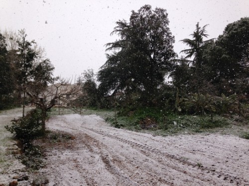 La neve è ricomparsa in aprile in Puglia: un'immagine della Valle d'Itria (foto collaboratrice Donatella Lopez - 7 aprile 2015)