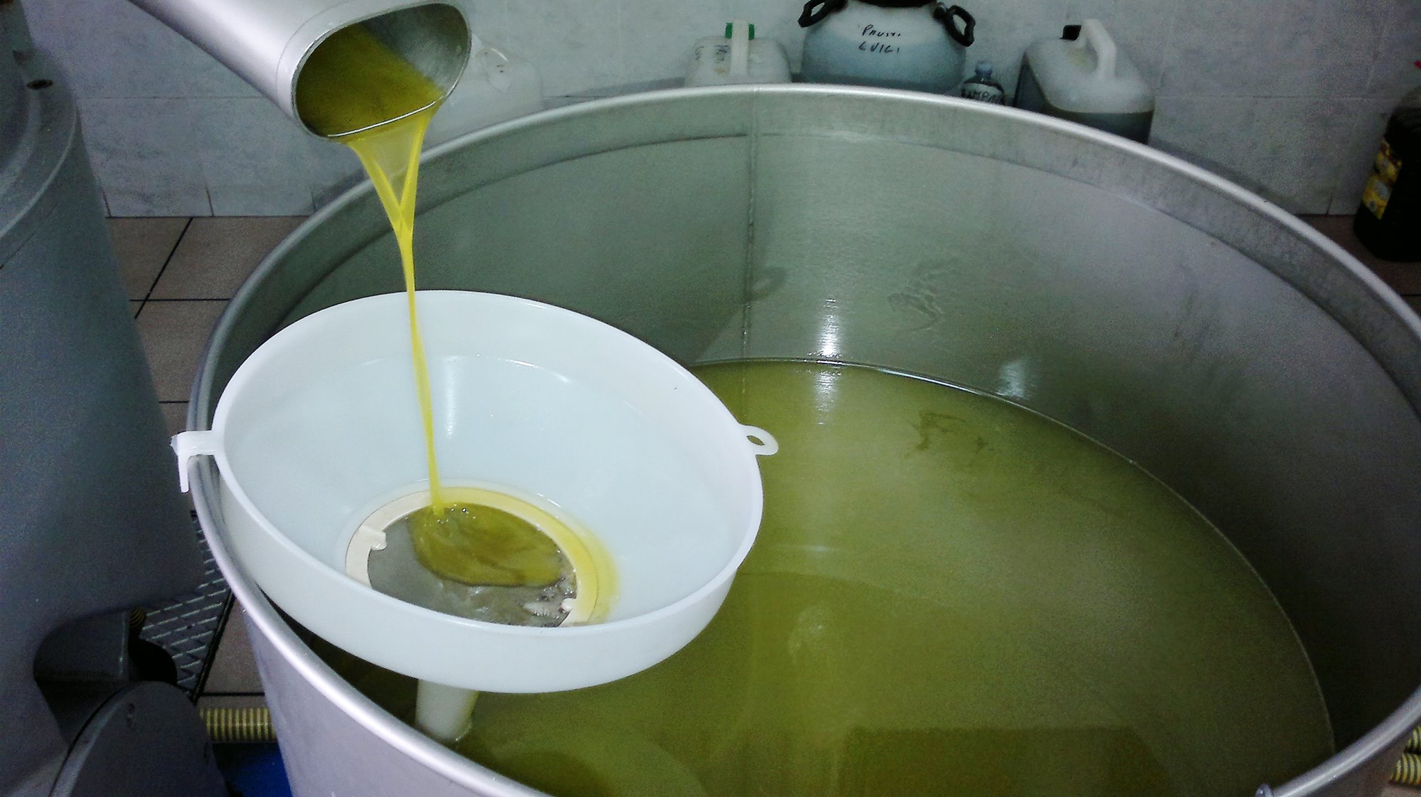 Brolo – Olio extravergine d’oliva: stamattina un convegno organizzato dall’APOM