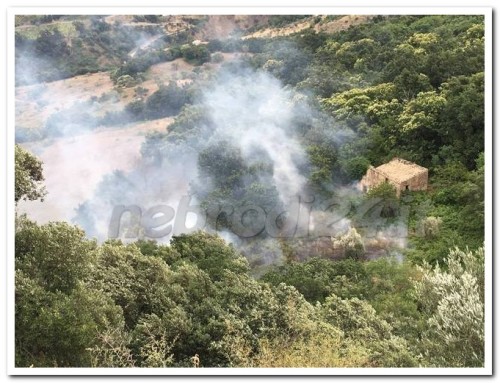 Mistretta e Motta D’Affermo – Incendi: gran lavoro per i volontari della protezione civile. Malori ed ustionati