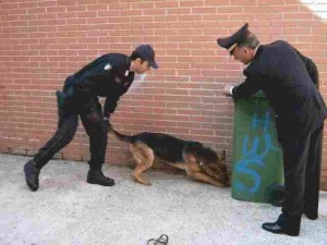 carabinieri e cane droga