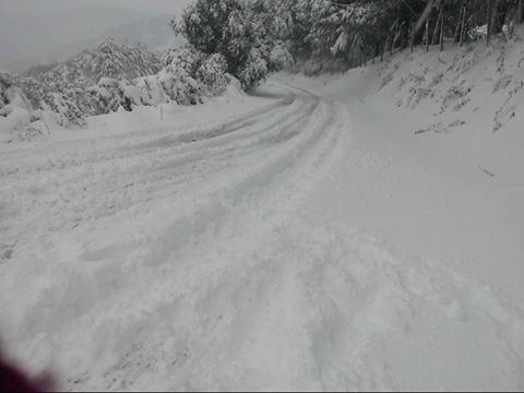 Nebrodi – Le vostro Foto della prima nevicata della Befana