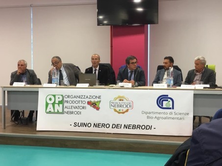 Galati Mamertino – Opan- CNR: l’accordo per ricerca dei produttori del suino nero dei Nebrodi.