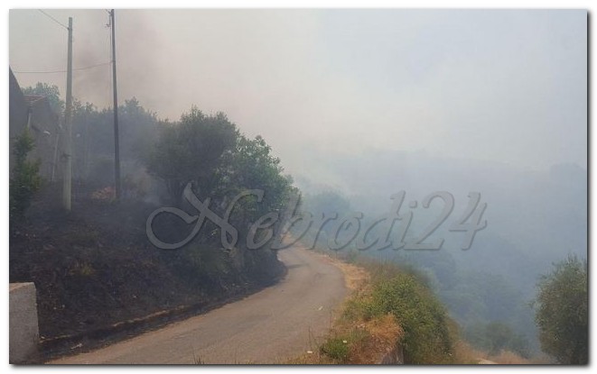 Piraino – Incendio in localita Aquarancio. Evacuate quattro abitazioni, dai carabinieri