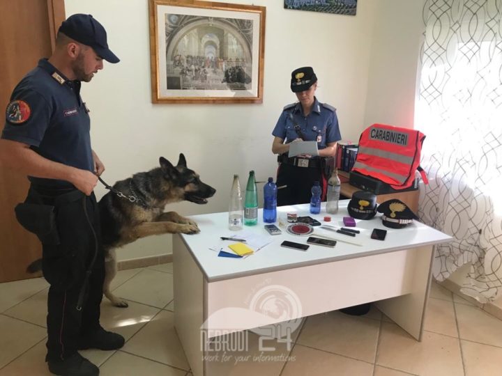 Capo d’Orlando – I Carabinieri arrestano tre uomini per detenzione di droga ai fini di spaccio.