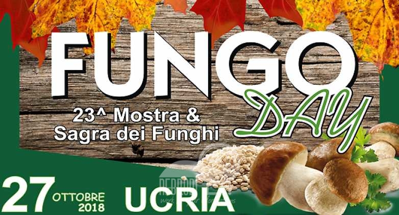 Ucria –  Sabato 27 ottobre la 23° Mostra e Sagra dei Funghi
