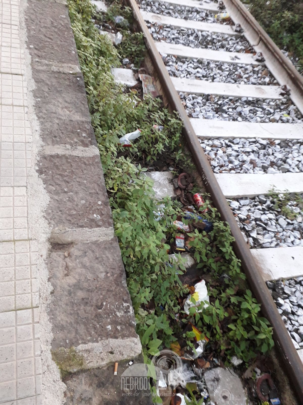 Brolo – La stazione ferroviaria invasa da erbacce e sporcizia. La competenza per pulire di chi è?