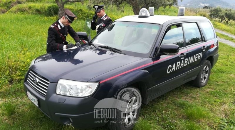 Caronia – Controlli dei Carabinieri nelle aziende zootecniche. Tre persone denunciate