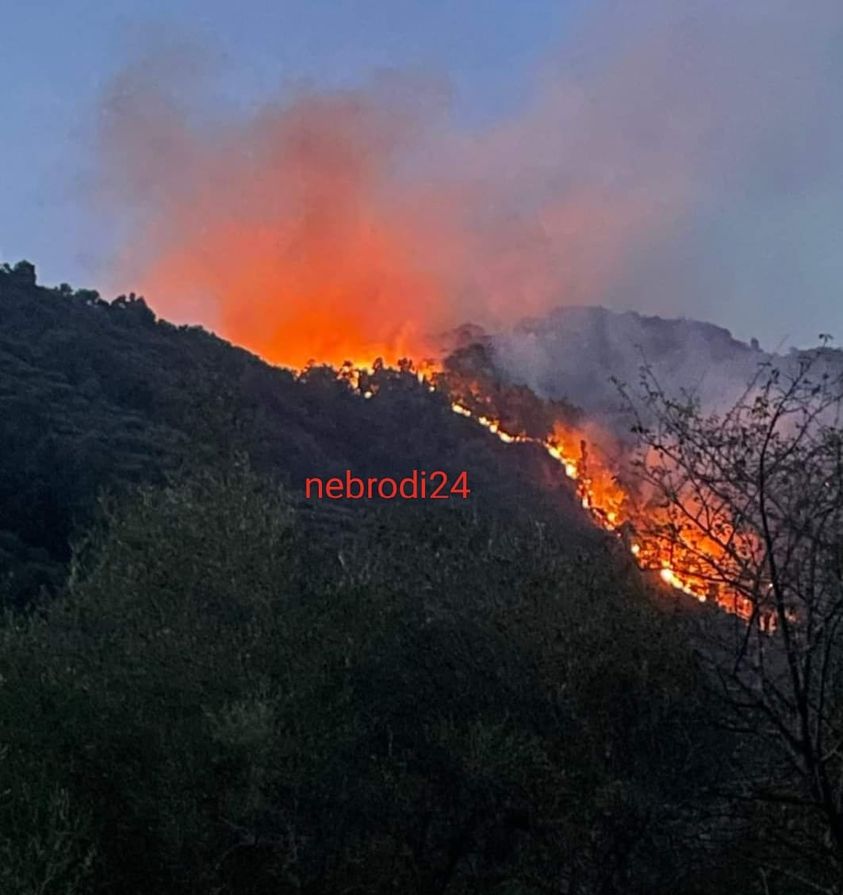 Capri Leone – Incendi, Grasso (FI): “Ieri giornata drammatica per tutta la Sicilia. Chiederò che sia dichiarato lo Stato di crisi e di emergenza”